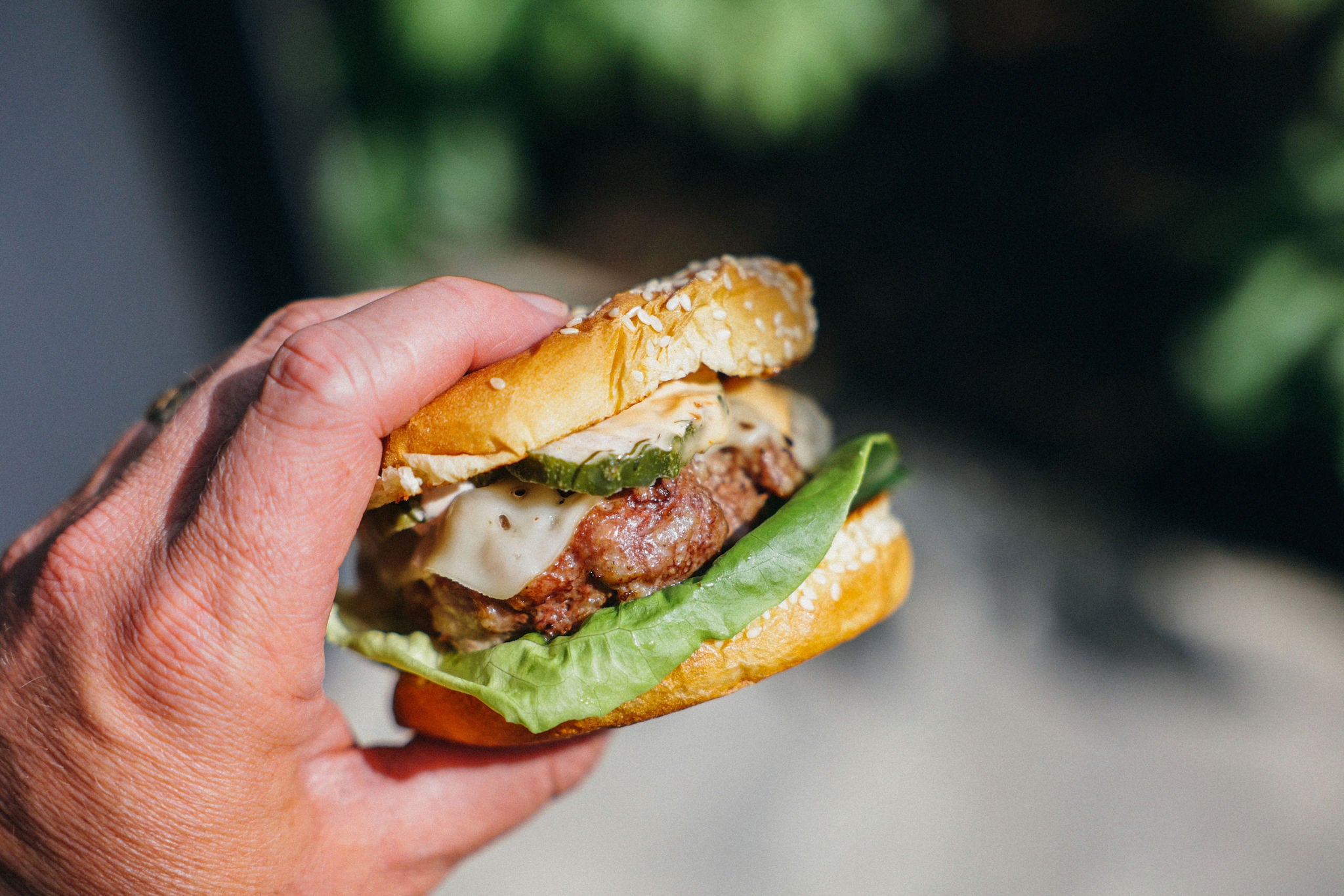 The Burger Collection